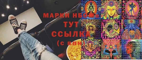 хмурый Алексин