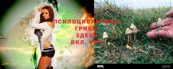 соль курить ск Алексеевка