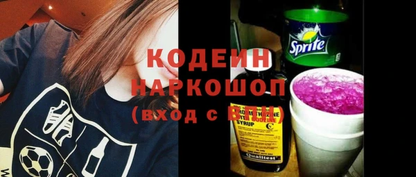 хмурый Алексин