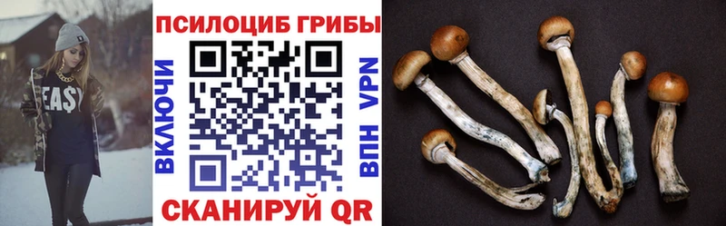Галлюциногенные грибы MAGIC MUSHROOMS  Купить  Тюмень 